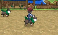 Skiddo