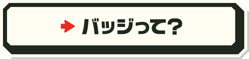 バッジって？