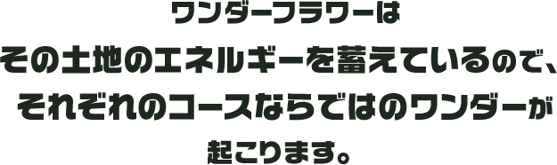 ワンダーフラワーはその土地のエネルギーを蓄えているので、それぞれのコースならではのワンダーが起こります。