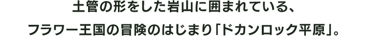 土管の形をした岩山に囲まれている、フラワー王国の冒険のはじまり「ドカンロック平原」。