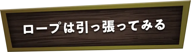 ロープは引っ張ってみる