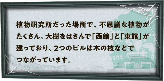 植物研究所だった場所で、不思議な植物がたくさん。大樹をはさんで「西館」と「東館」が建っており、2つのビルは木の枝などでつながっています。